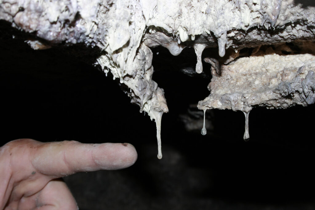 Snottites close up Sulphur Cave