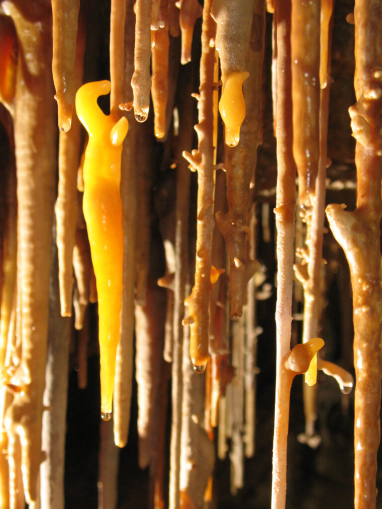 Beautiful delicate stalactites.